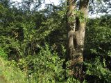 IMG_2001