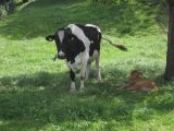 IMG_2028