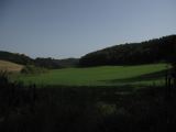 IMG_2031