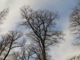IMG_1715