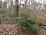 IMG_1721