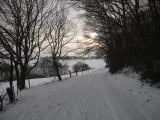 IMG_2836