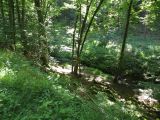 IMG_0762
