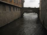 IMG_3461
