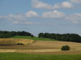 IMG_0910