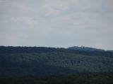 IMG_0918