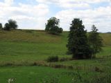 IMG_0903