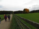 Weiter