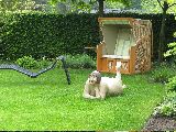 IMG_2722