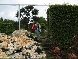 IMG_2723