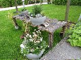 IMG_2736