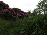 IMG_2741