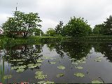 IMG_2766