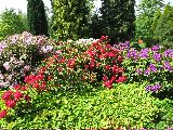 IMG_2776