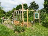 IMG_2790