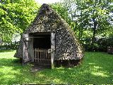 IMG_2796