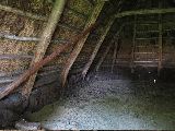 IMG_2797