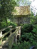 IMG_2818