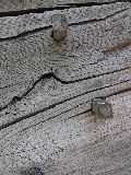 IMG_2819