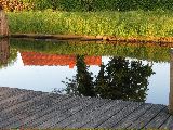 IMG_2842