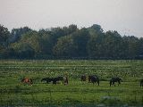 IMG_2851