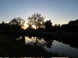 IMG_2860