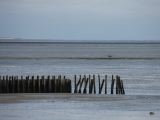 IMG_2625