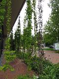 IMG_2707