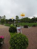 IMG_2709