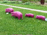 IMG_2712