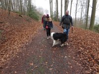 Kleine Gruppe: Vier Wanderer und zwei Hunde