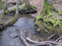 Frisches Wasser...
