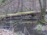 Viel Wasser zur Zeit.