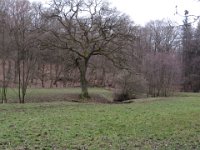 ...in der Natur.