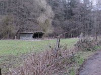 Marode "Schönheit"