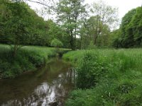 IMG 7186  ...am Eschweiler Bach.