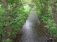 IMG 7213  Der Eschweiler Bach