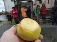 Hildegard hat uns mit Äpfeln aus eigenem Anbau versorgt.