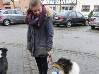 Die beiden Hunde müssen sich erst einmal orientieren.
