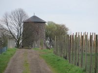 Alter Windmühlenturm mitten in den Plantagen.
