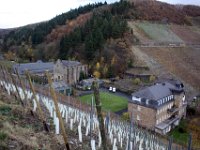 Noch einmal ein Blick zurück auf das Weingut und die Klosterruine Marienthal.