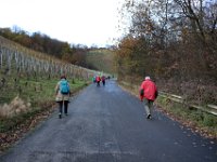 Der Weg zieht sich jetzt ganz schön nach oben.