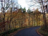 Beim Blick zurück erstrahlt der Wald auch noch im November im herbstlichen Gewand.