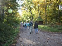 Sofort tauchen wir in den Herbstwald ein.