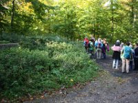 Die Beschilderung gehört zum Friedwald Bad-Münstereifel.