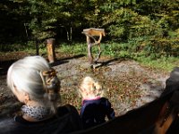 im Friedwald ist ein kleiner Platz für Trauerfeiern eingerichtet.