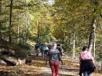 Die Herbstsonne hat inzwischen den Wald aufgeheizt.