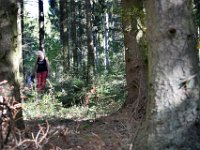 Was oben rein geht, muss ja auch wieder raus.  Das Klo ist hier im Wald so anders.
