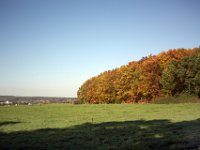 Zum Schluss noch mal goldener Oktober.